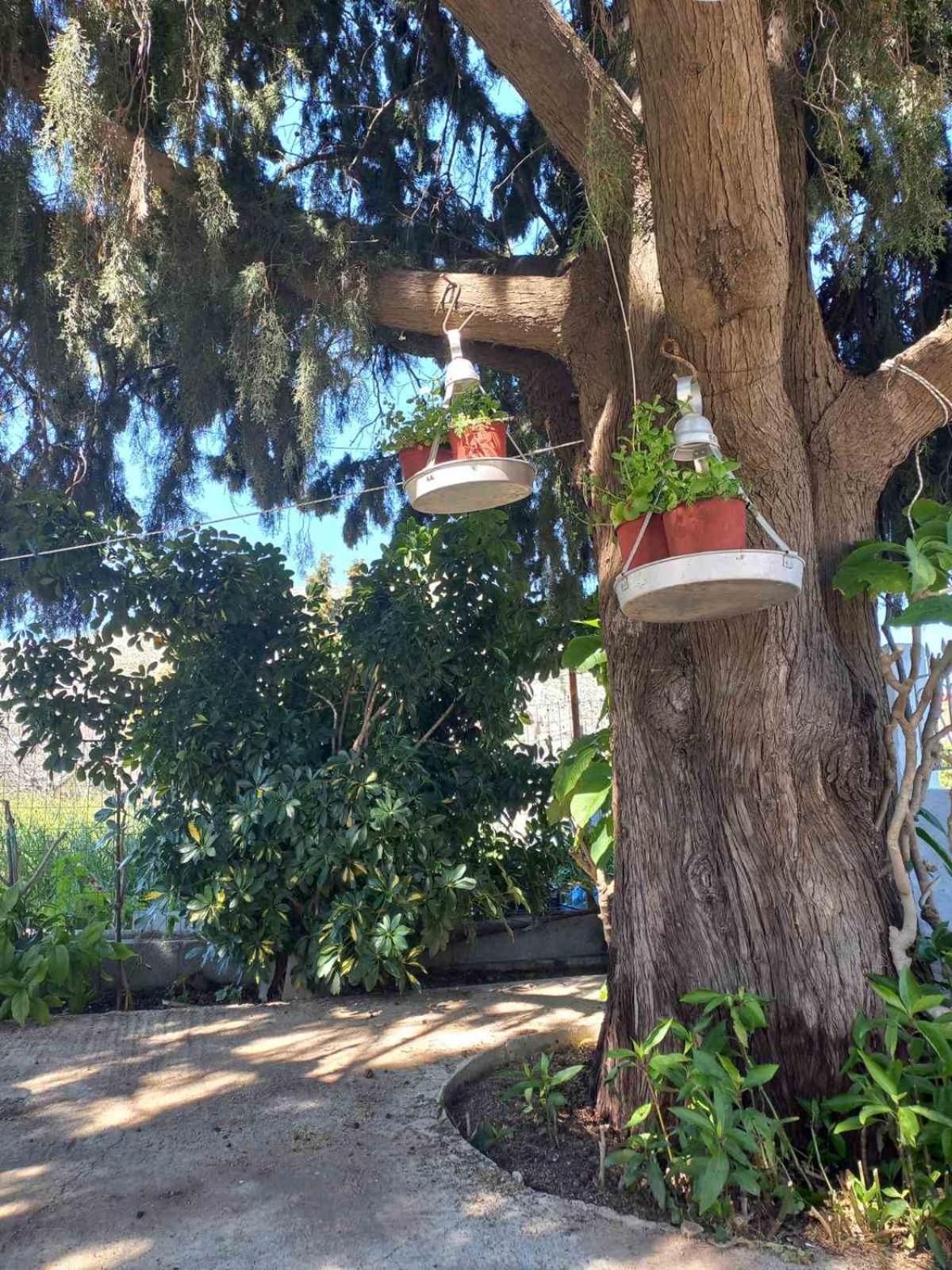 Vakantiehuis Maria's Garden House Archangelos (Rhodes)