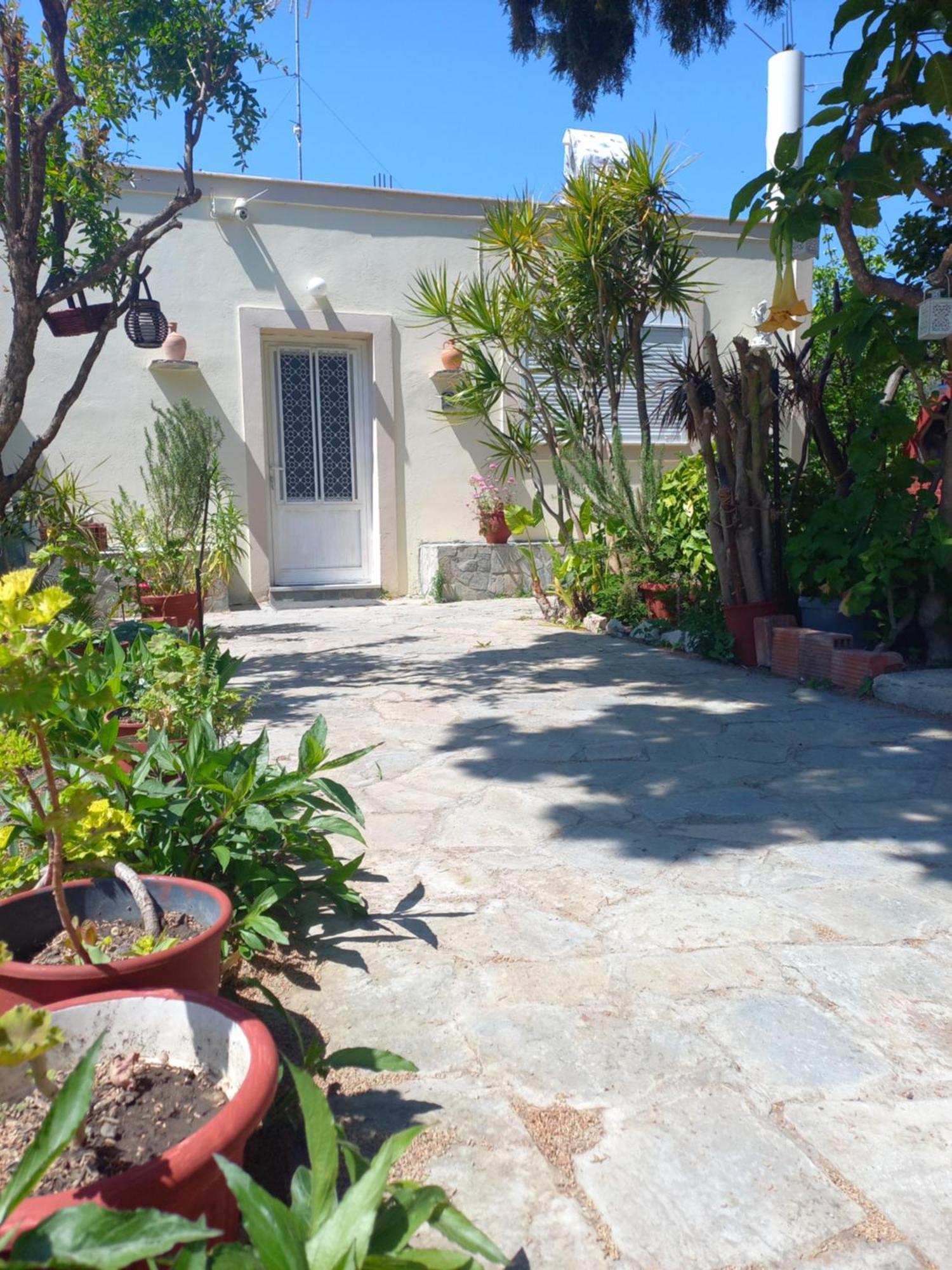 Vakantiehuis Maria's Garden House Archangelos (Rhodes)